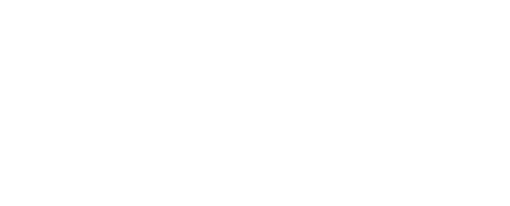 Logo Beyond the Pitch